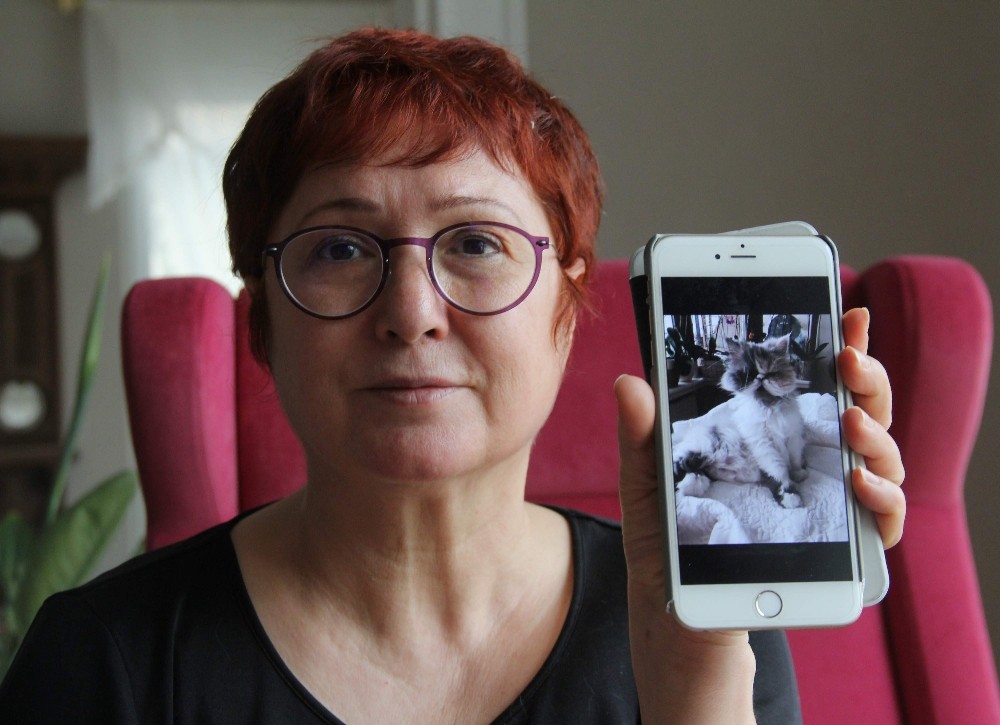 (Özel Haber) Evladı Gibi Sevdiği 12 Yıllık Kedisini Bulana 2 Bin Lira Ödül Verecek