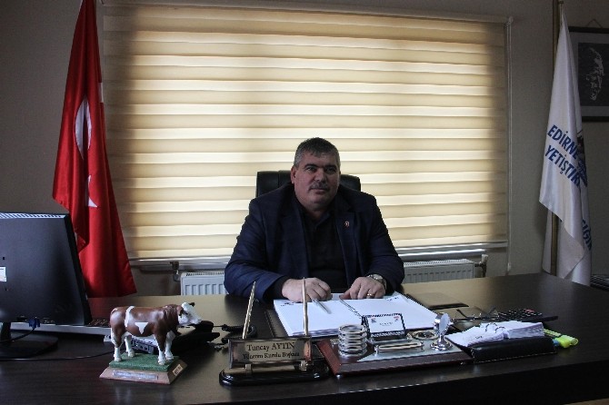 (Özel Haber) Süt Ve Damızlık Üreticileri İthalata Tepkili