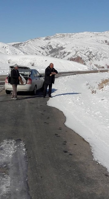 Özvatan Belediye Başkanı, Yaban Hayvanları İçin Doğaya Yiyecek Bıraktı