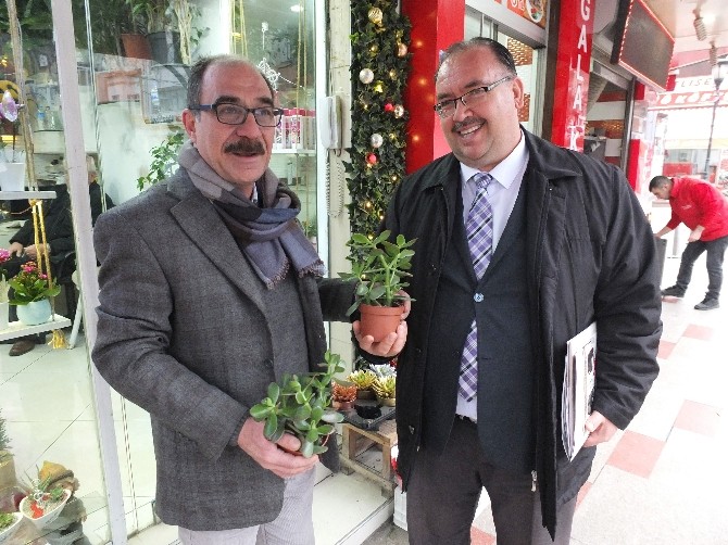 Para Ağacına Büyük İlgi