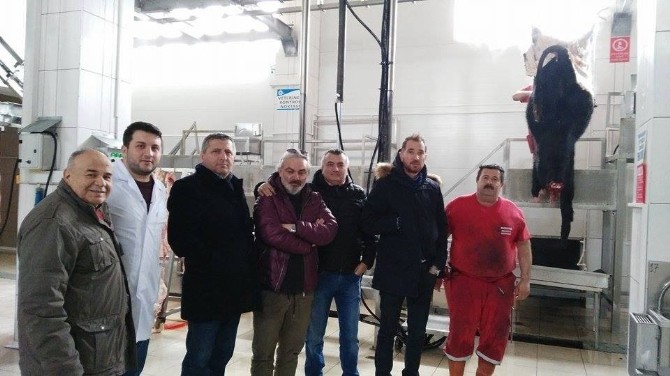 Pazaryeri Mezbahasına Avrupadan Misafir