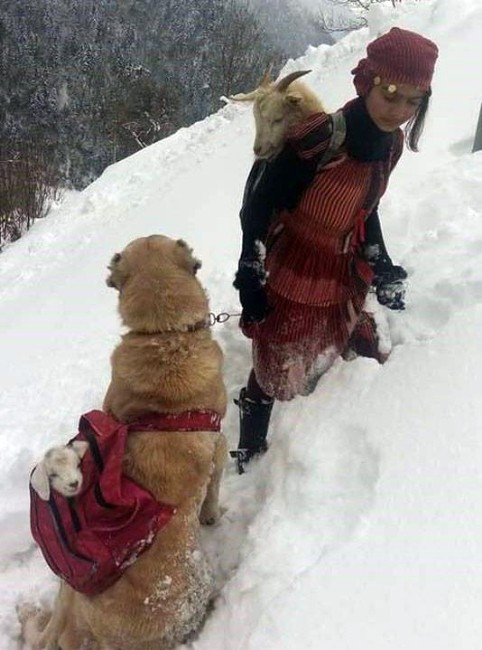 Rizeli Heidi, Yaşadıklarını Anlattı