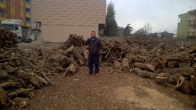 Silopide Soğuk Hava Odun Satışlarını Arttırdı