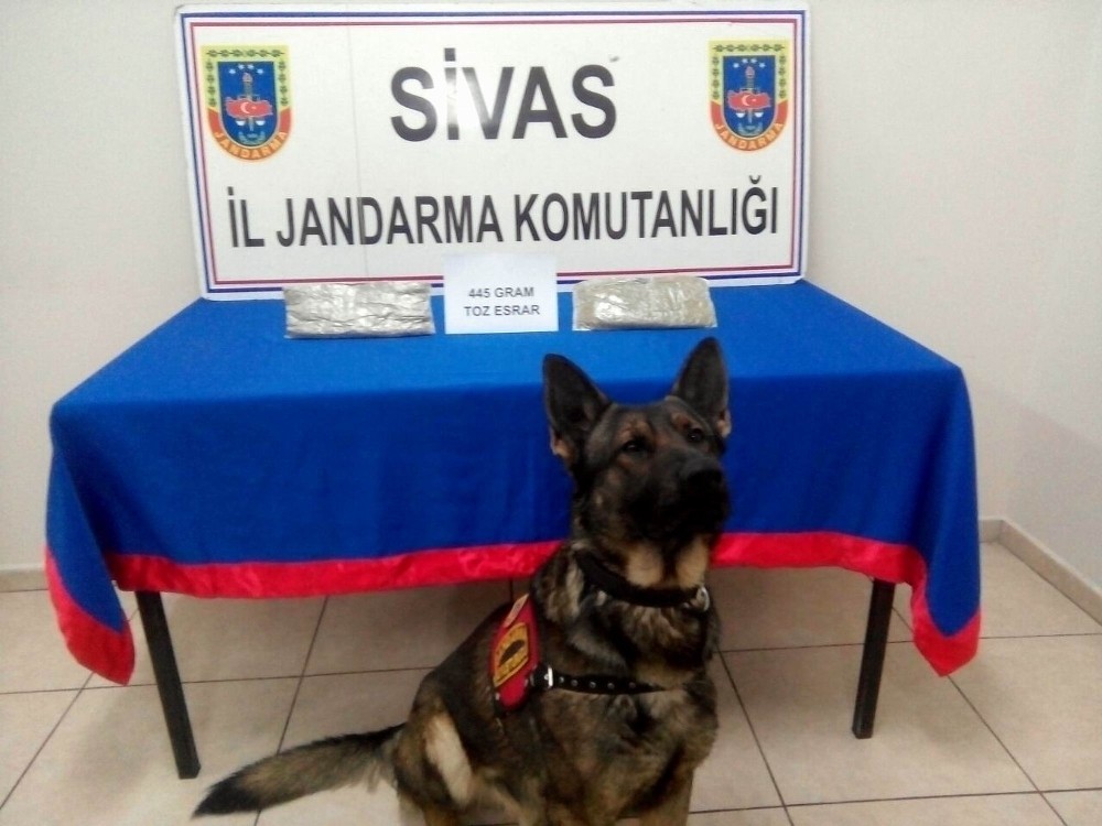 Sivasta Uyuşturucu Operasyonu