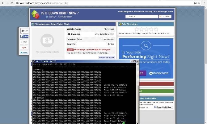 Türk Hackerlar Kredi Derecelendirme Kuruluşu Fitchi Hedef Aldı