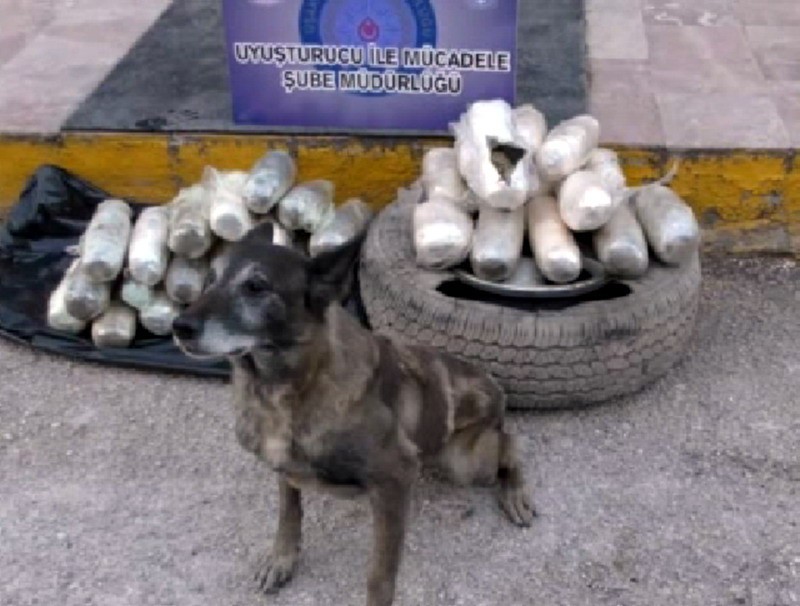 Uşakta 23 Kilo 500 Gram Esrar Yakalandı