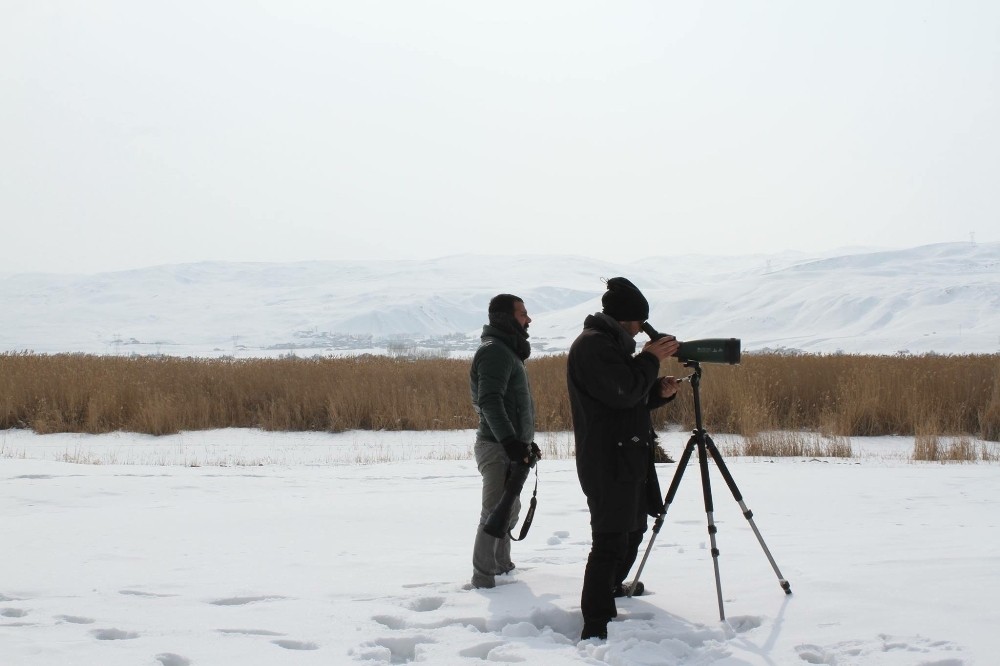 Vanda Kış Ortasında Kosks Çalışmaları Sona Erdi