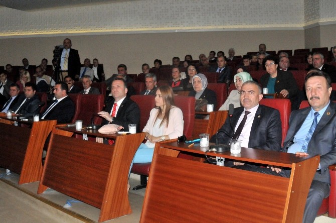 Yalovaya Taşkın Alan Engeli