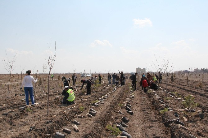Yılın Sivil Toplum Farkındalık Ödülleri Sahiplerini Buldu