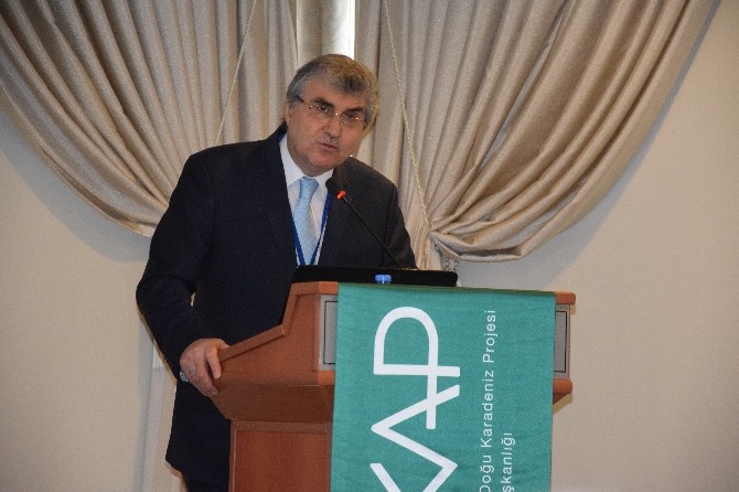 Yüce: Bal Üretiminde Çinden Sonra Dünyada 2. Sıradayız