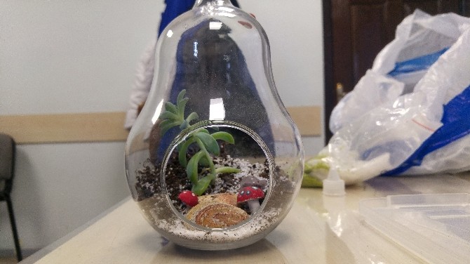 Zeytinburnu Tıbbi Bitkiler Bahçesinde Teraryum Eğitimi