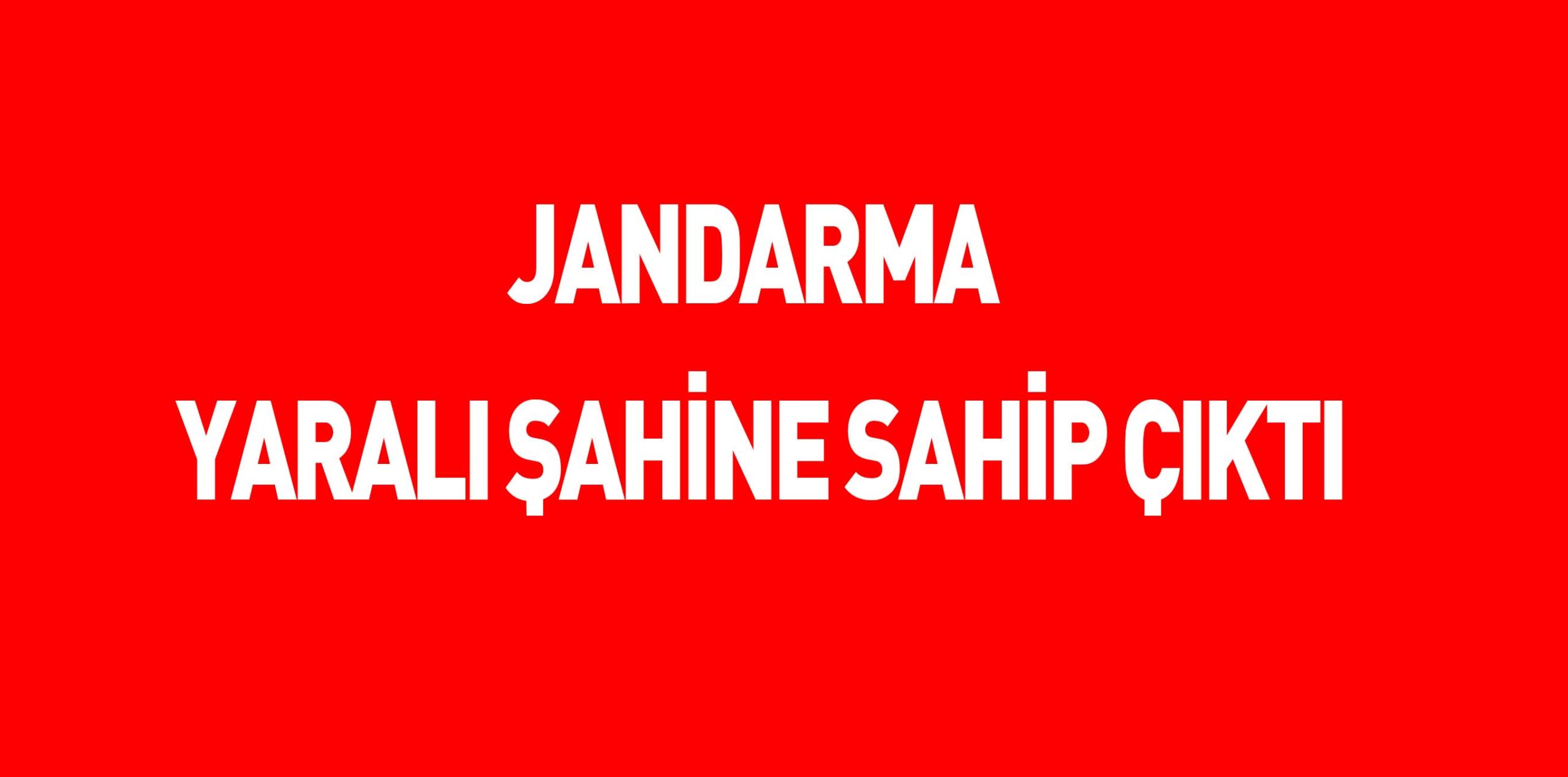JANDARMA YARALI ŞAHİNE SAHİP ÇIKTI