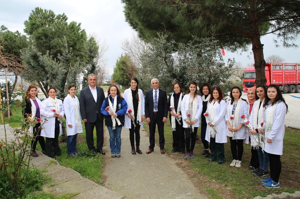 Asadan Kadına Şiddete Tepki