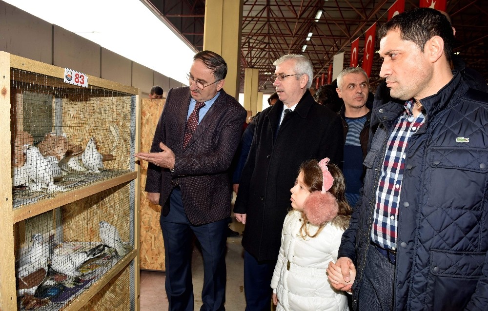 Bursada 2 Bin Güvencin En Güzel Seçilebilmek İçin Yarıştı