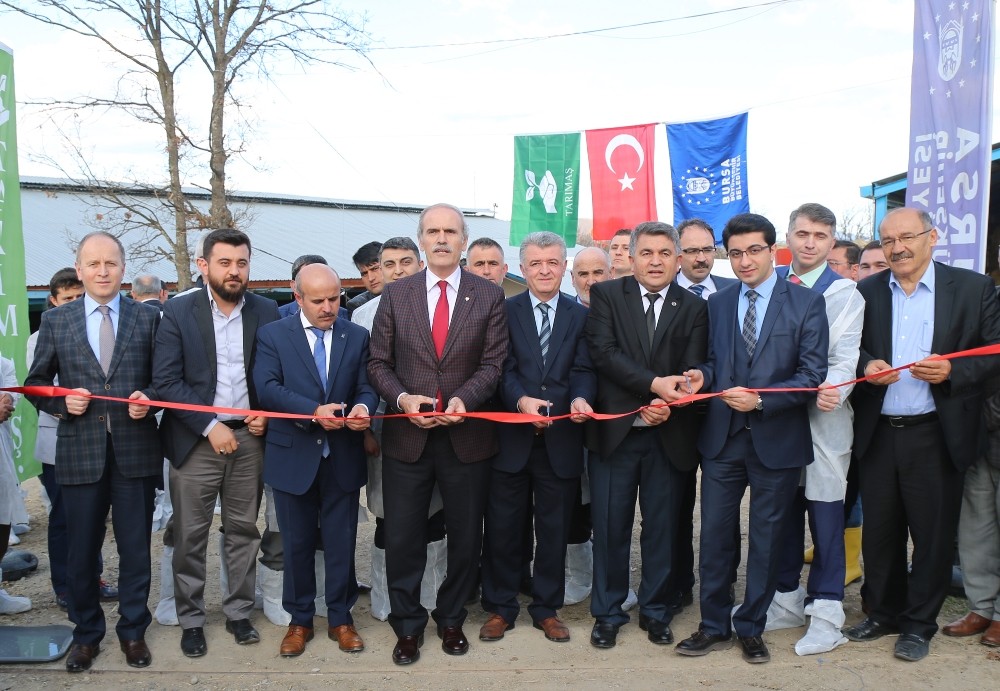 Büyükşehir Desteğiyle Dağ Yöresinde Hayvancılık Gelişiyor