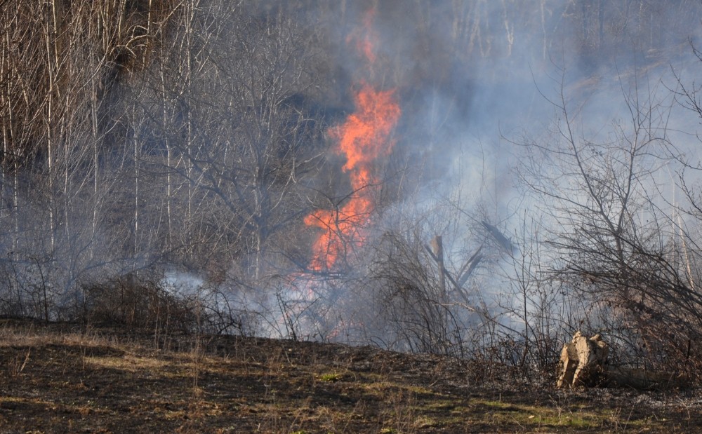 Çalılık Yangını Büyümeden Söndürüldü
