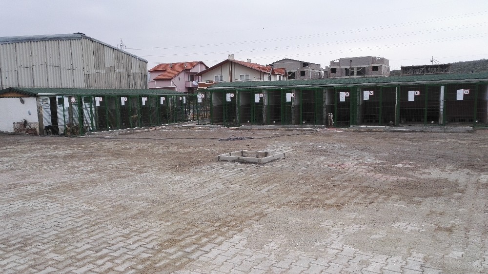 Gemlik Belediyesine Anlamlı Ödül