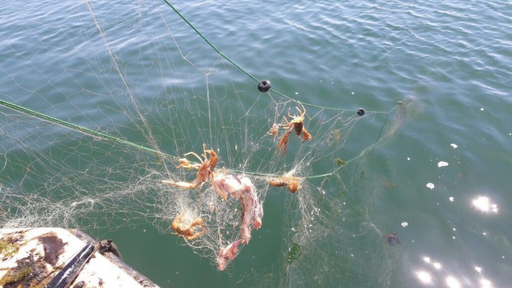 Göle Kaçak Atılan Ağlara El Konuldu