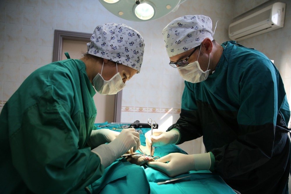 Nilüferden Can Dostlarına Beş Yıldızlı Sağlık Hizmeti