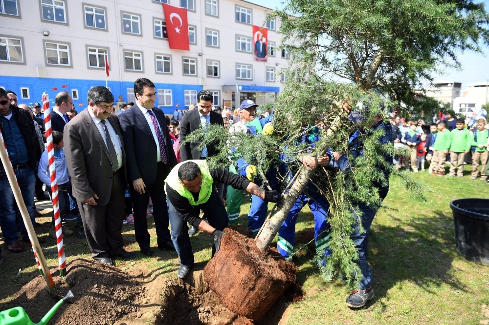 Osmangazide Okul Bahçeleri Yeşilleniyor