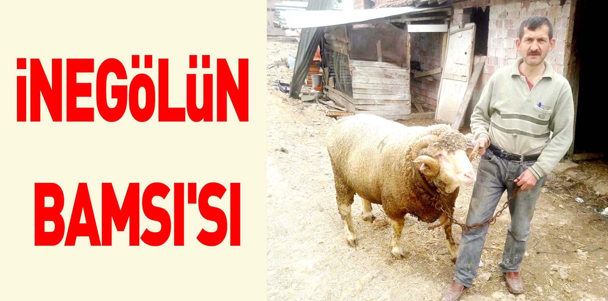 iNEGöLüN BAMSI’SI