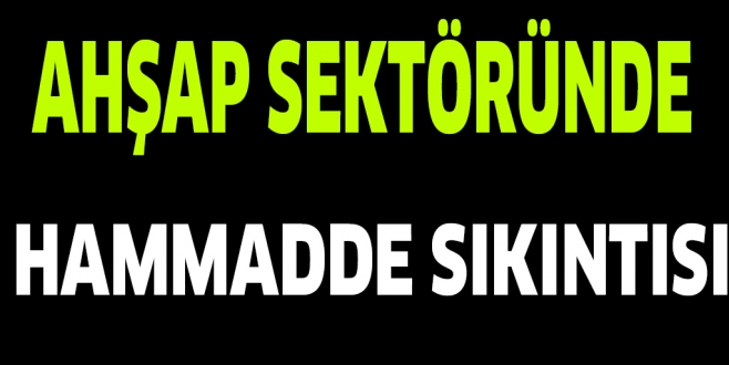 AHŞAP SEKTÖRÜNDE HAMMADDE SIKINTISI