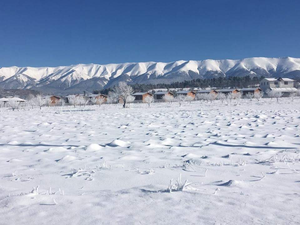 Bursada Baharda Kar Esareti