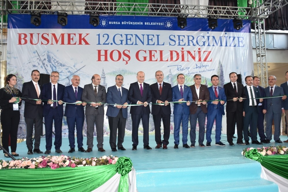 Busmekten ‘Renklerin Dili