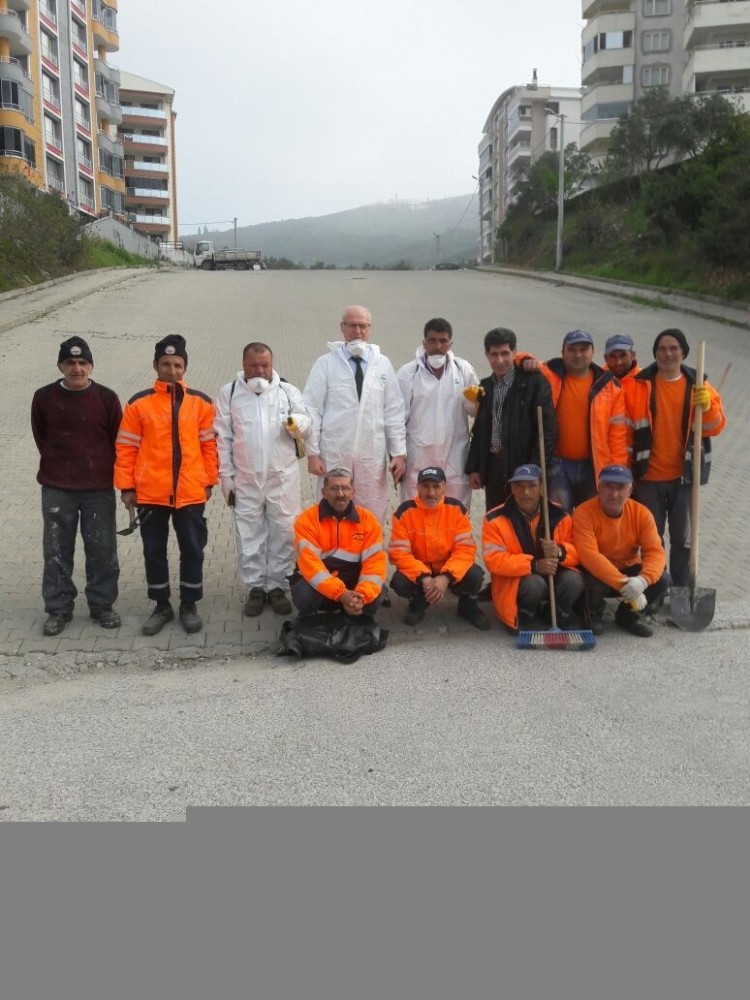 Gemlikte Bahar Temizliği