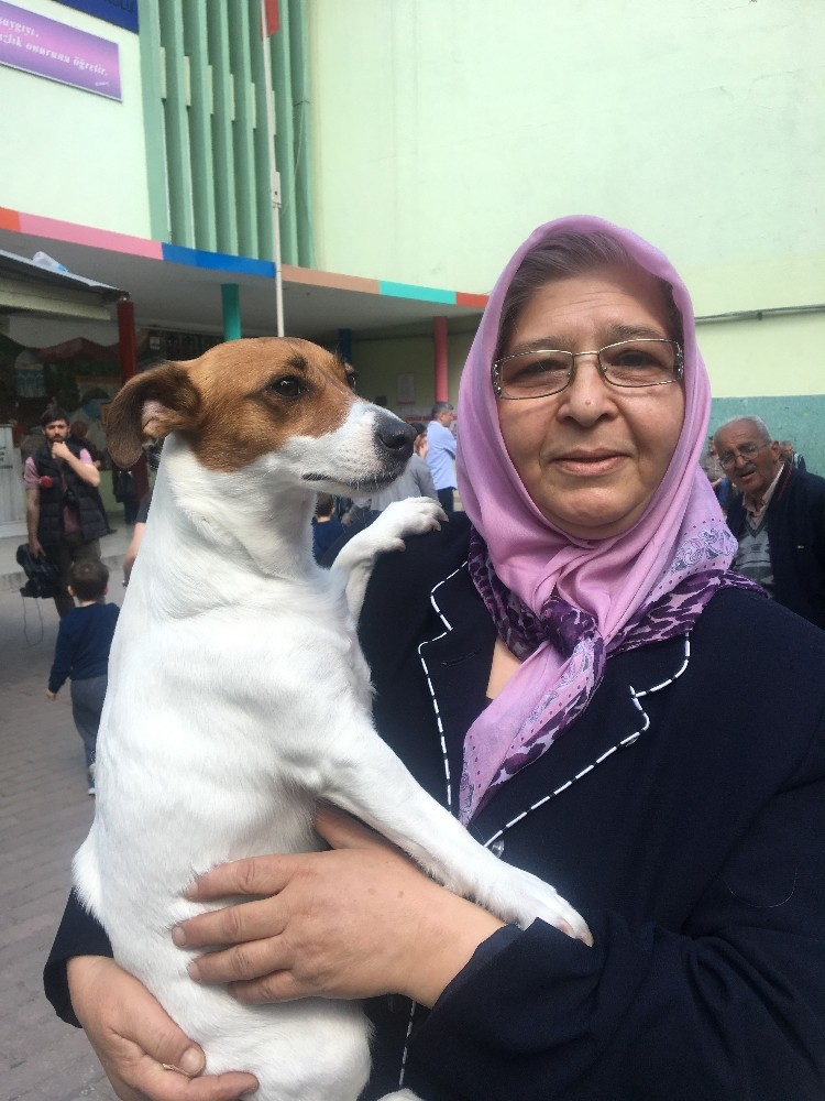 Oy Kullanmaya Köpeğiyle Geldi