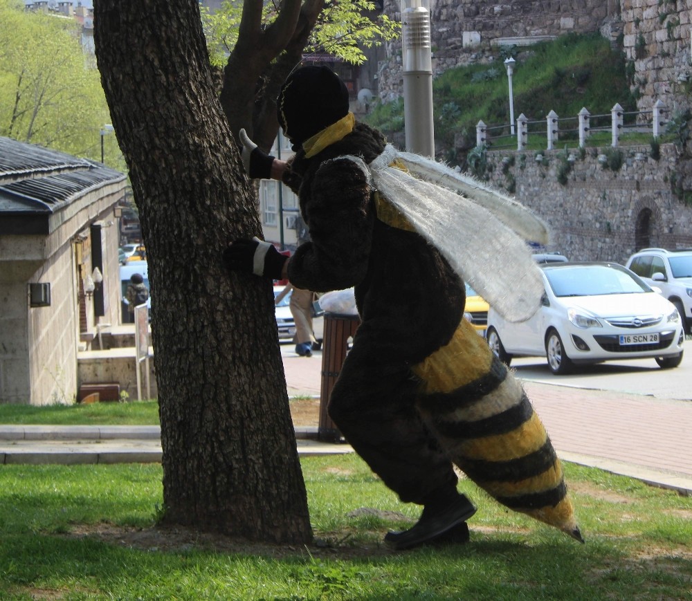 (Özel Haber) Arı Adam Sokmak İçin Her Yerde Karatayı Arıyor