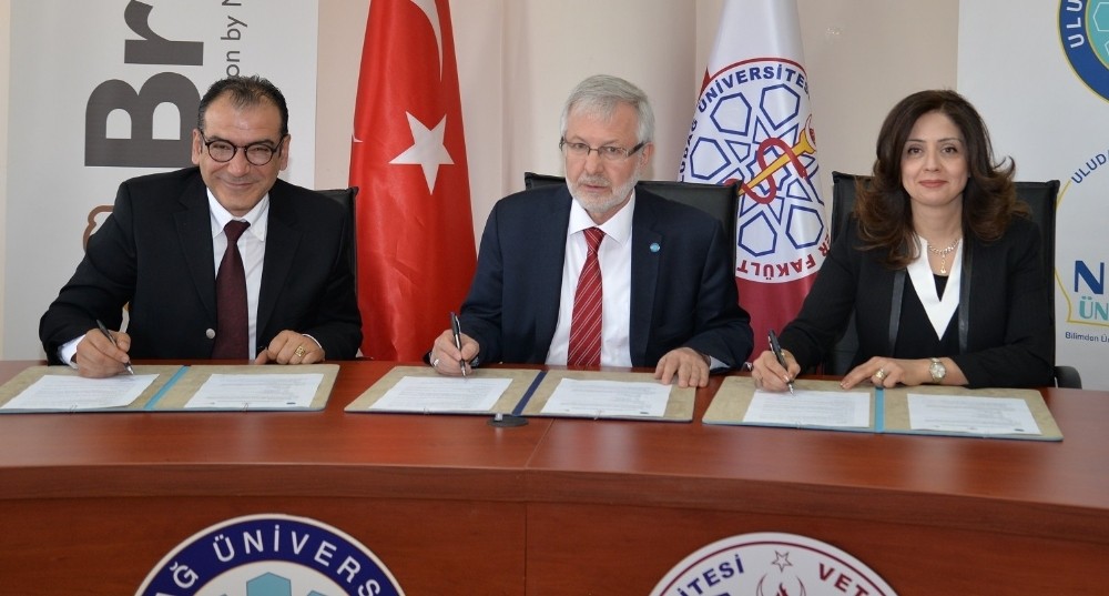 Üniversiteden Kedi Ve Köpeklere Ücretsiz Mama Desteği