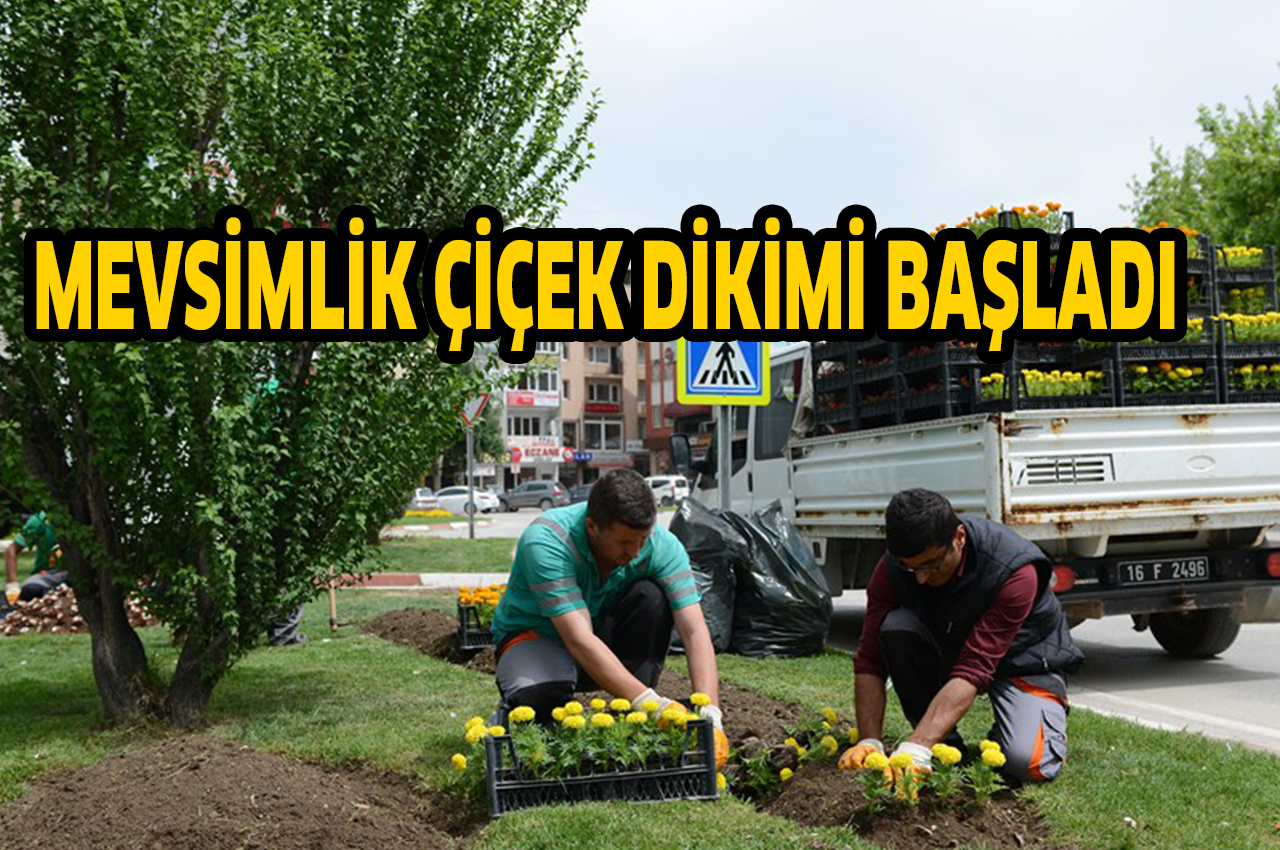 MEVSİMLİK ÇİÇEK DİKİMİ BAŞLADI
