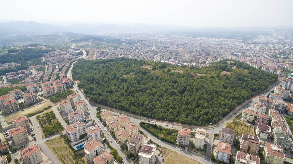 Altepe: “Cephanelikte İmar Söz Konusu Değil“