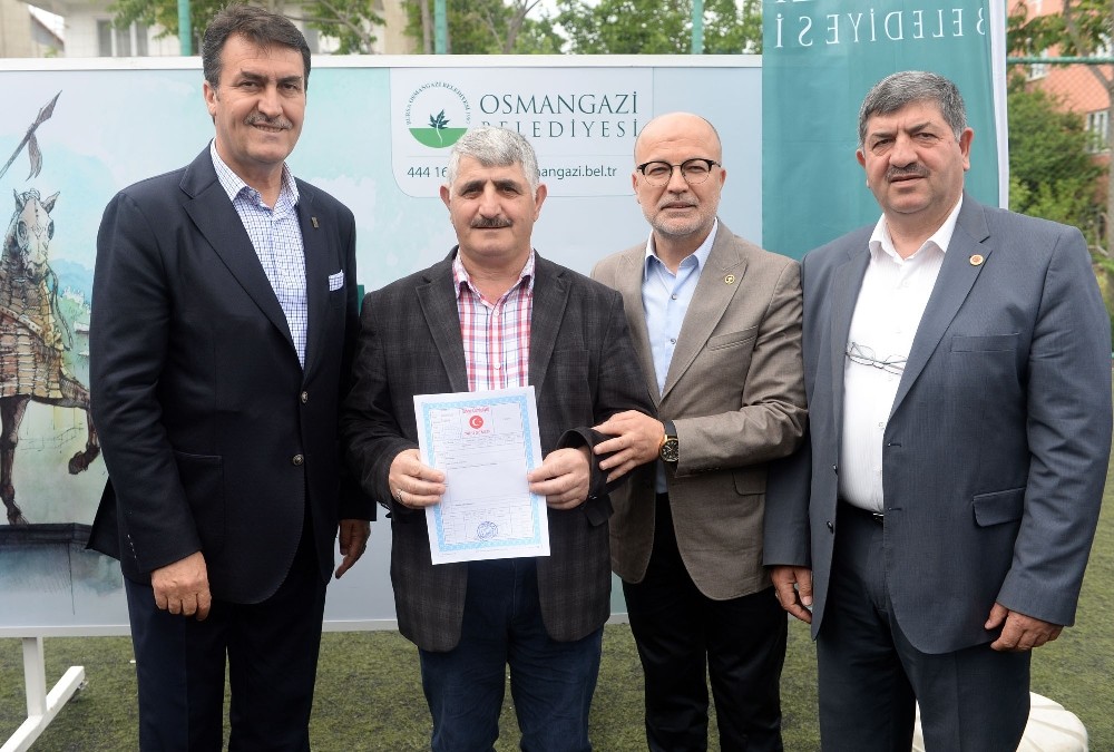 Osmangazide Hisseli Parseller Tapuya Dönüşüyor