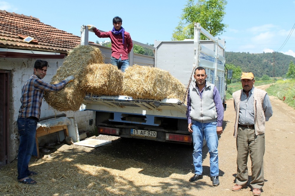 Saman Fiyatları Cep Yakıyor