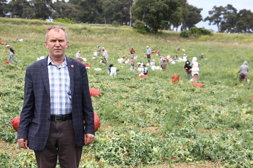 Tarlada 1,5 Lira Pazarda 3,5 Lira