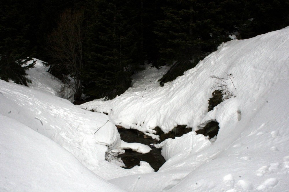 Uludağdaki Kızak Faciasında Savcı Annenin Beraatını Talep Etti