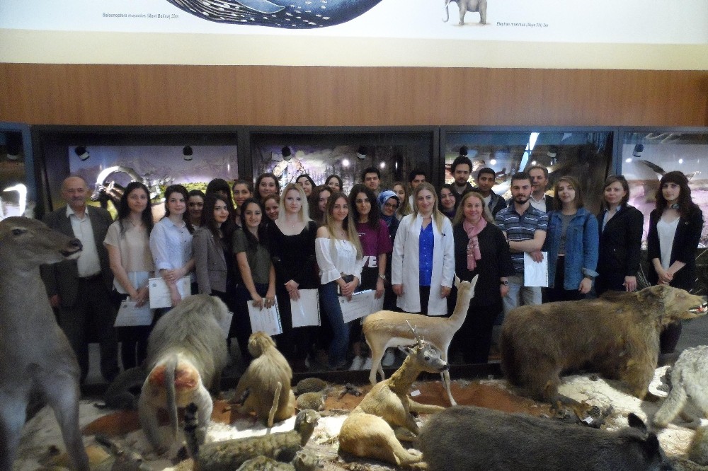 Zooloji Müzesinden Tuvale Yansıyanlar