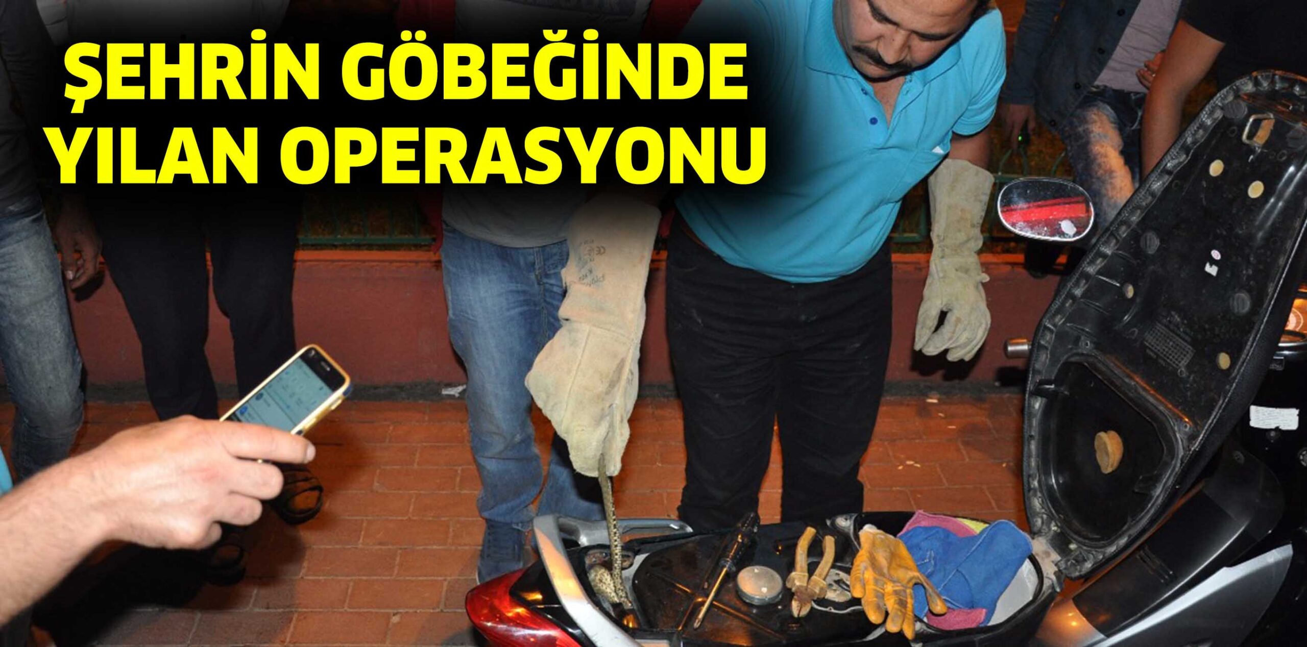 ŞEHRİN GÖBEĞİNDE YILAN OPERASYONU