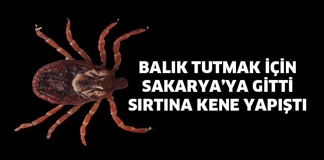 BALIK TUTMAK İÇİN GİTTİ SIRTINA KENE YAPIŞTI