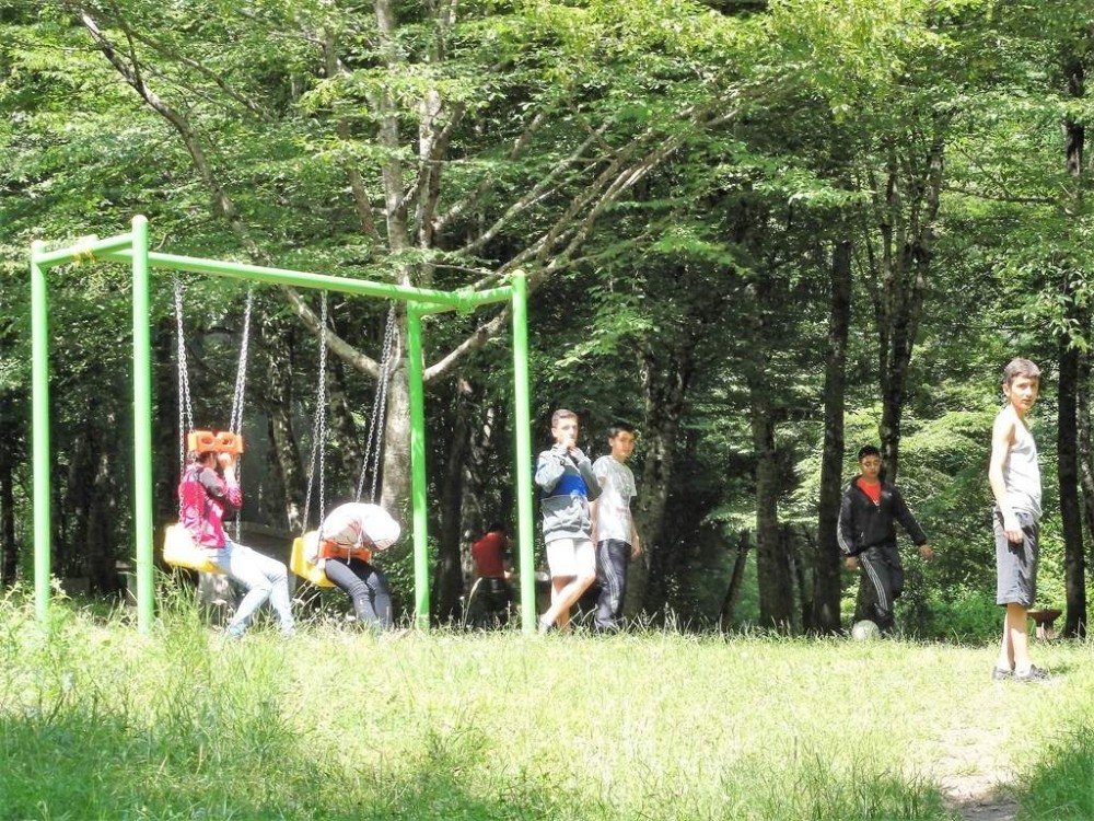 Ağacın Tek Dalını Koparana 3 Bin Lira Ceza