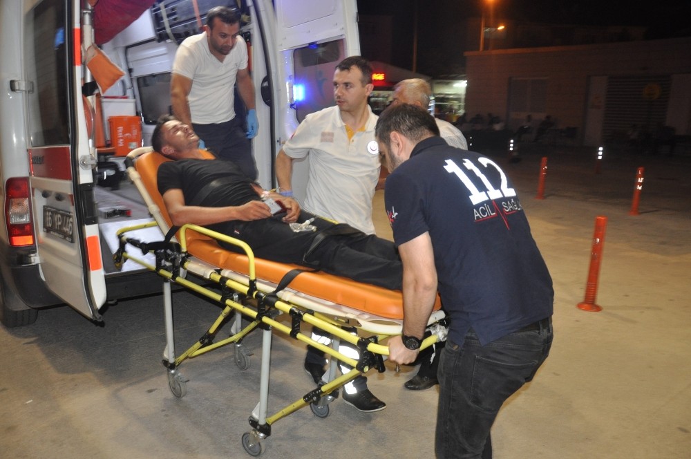 Arılar Hastanelik Etti