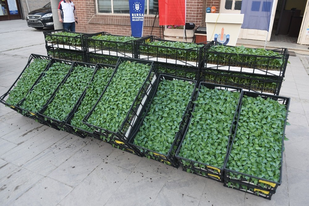 Bursada Dünya Pazarlarına Özel Üretim