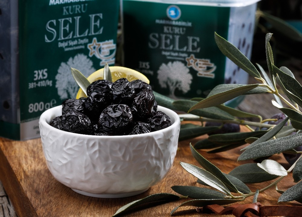 Bursada Zeytin Ağacı Envanteri Çıkarılıyor