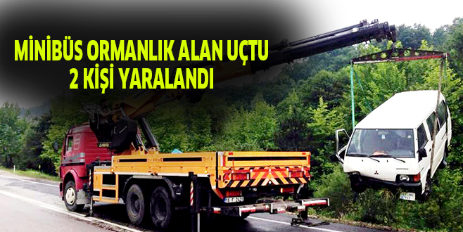 MİNİBÜS ORMANLIK ALAN UÇTU 2 KİŞİ YARALANDI