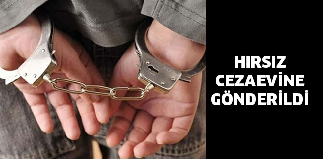 HIRSIZ CEZAEVİNE GÖNDERİLDİ