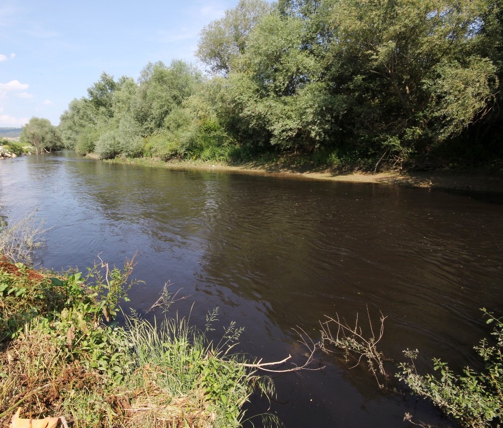 Kocasu Deresi Mercek Altında