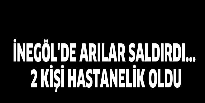 NEGÖL’DE ARILAR SALDIRDI… 2 KİŞİ HASTANELİK OLDU