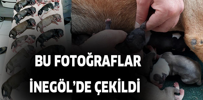 BU FOTOĞRAFLAR İNEGÖL’DE ÇEKİLDİ
